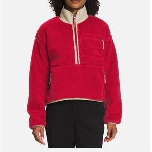 THE NORTH FACE EXTREME PILE PULLOVER FLEECE JACKET